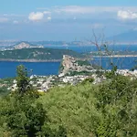 L' Alba Rosa