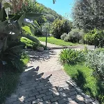 Appartamento Ischia L'Ulivo