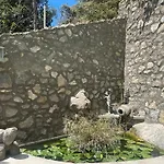 Evelyns Pool Garden