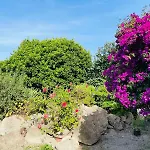 Casa Vacanza - O Chian 'E Zizza Moscia