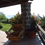 Il Vigneto Di Fiaiano