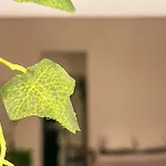 La Tua Casa Senza Pensieri