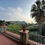 Il Vitigno Di Dioniso