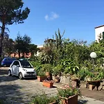 Le Ginestre