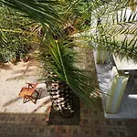 B&B La Salamandra Kitchengarden