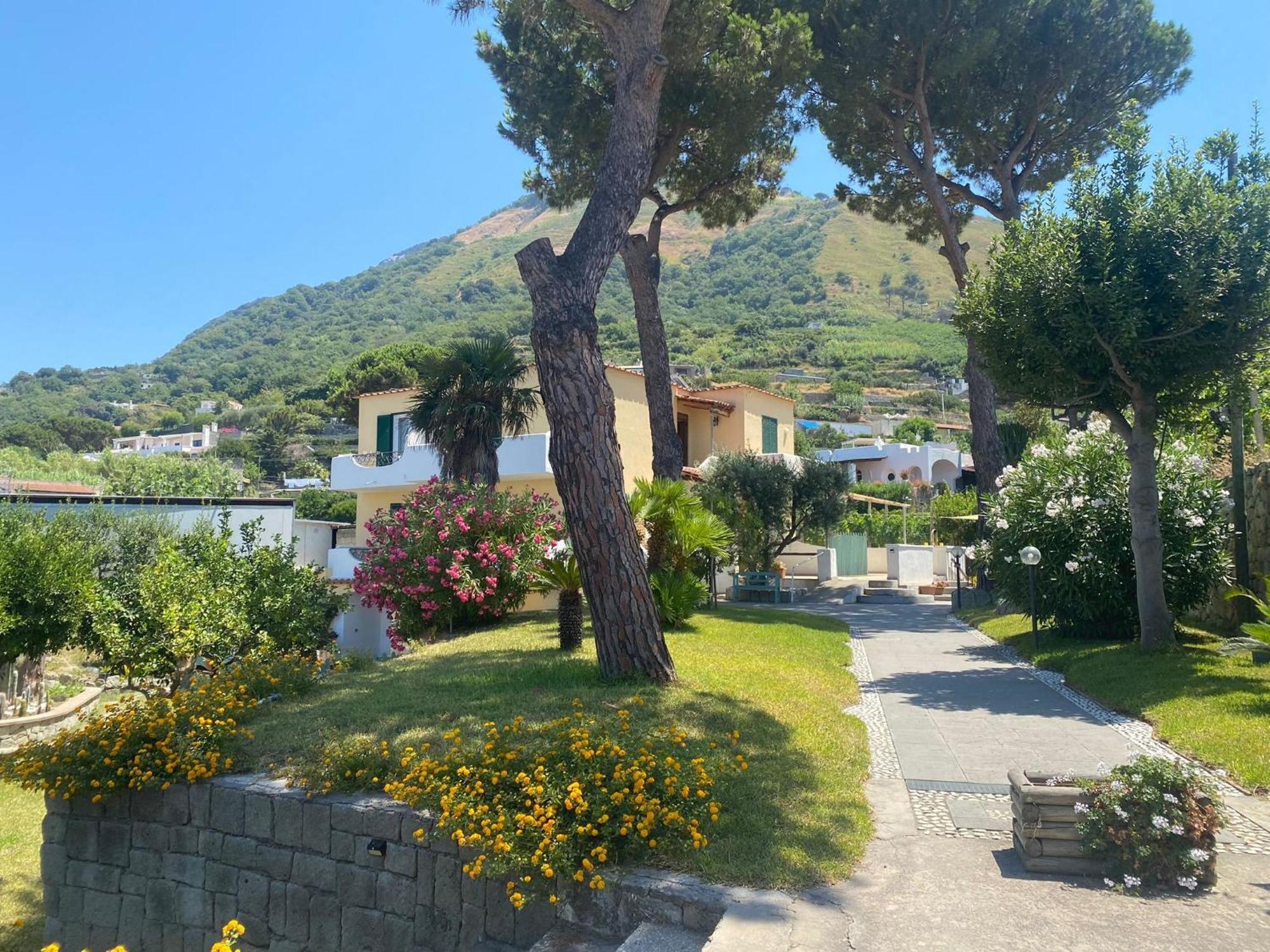 アパートホテル Olivia Forio di Ischia
