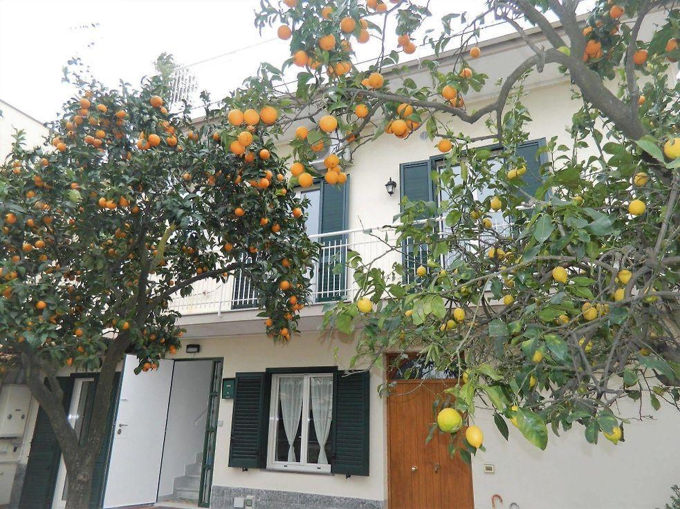La Terrazza Family Holidays, Sorrento Coaost 別荘 Sant'Angelo (Isola d'Ischia)