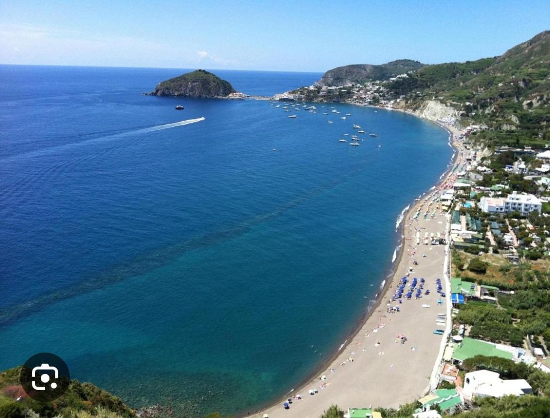 Il Pino “villa Nunzia” * Ischia