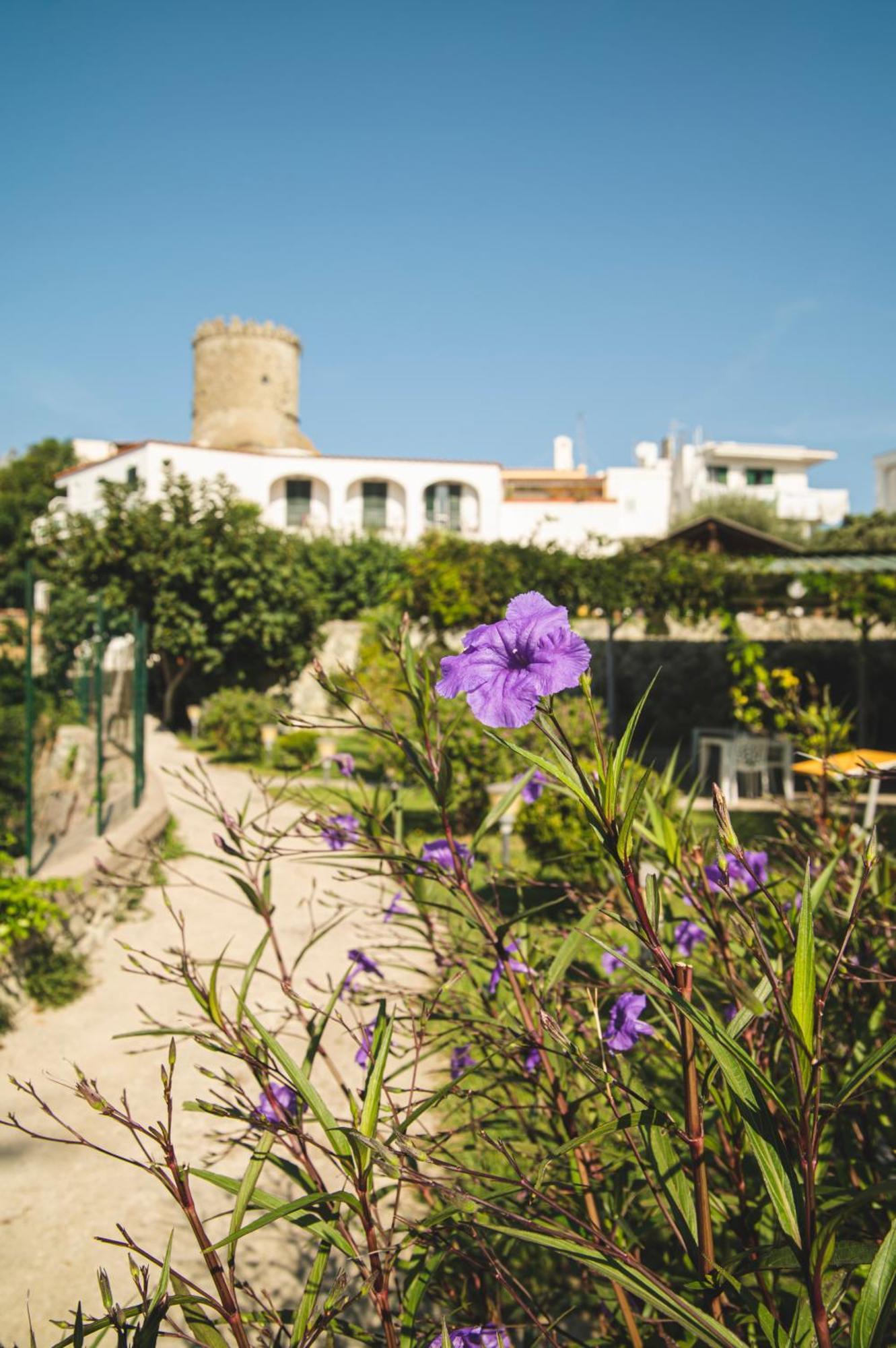 Victoria Park Hotel Ischia