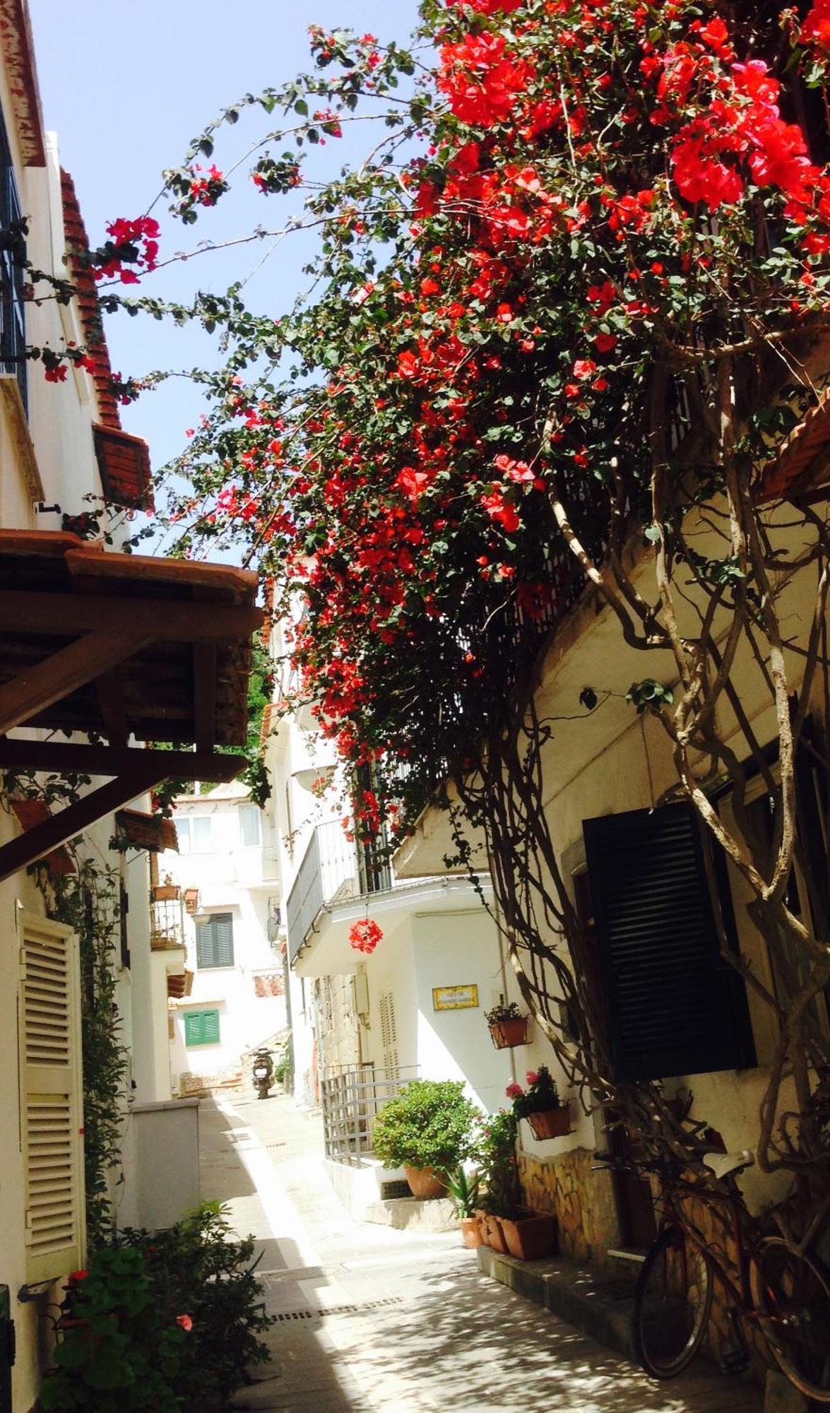 La Bouganville Gasthof Ischia