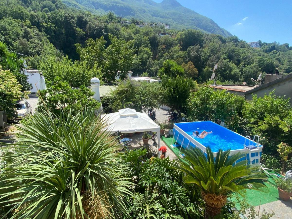 Dell'ospite Ischia * Casamicciola Terme