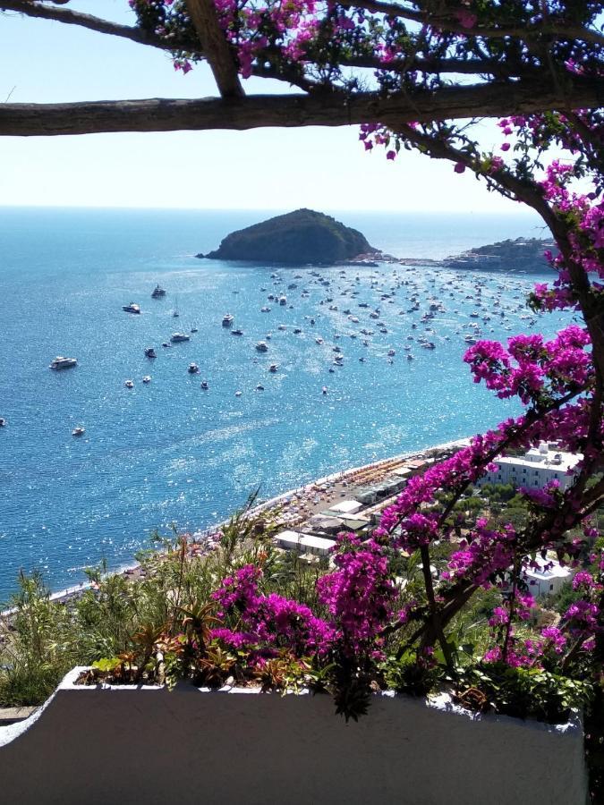 Al Mare Ξενοδοχείο Barano dʼIschia