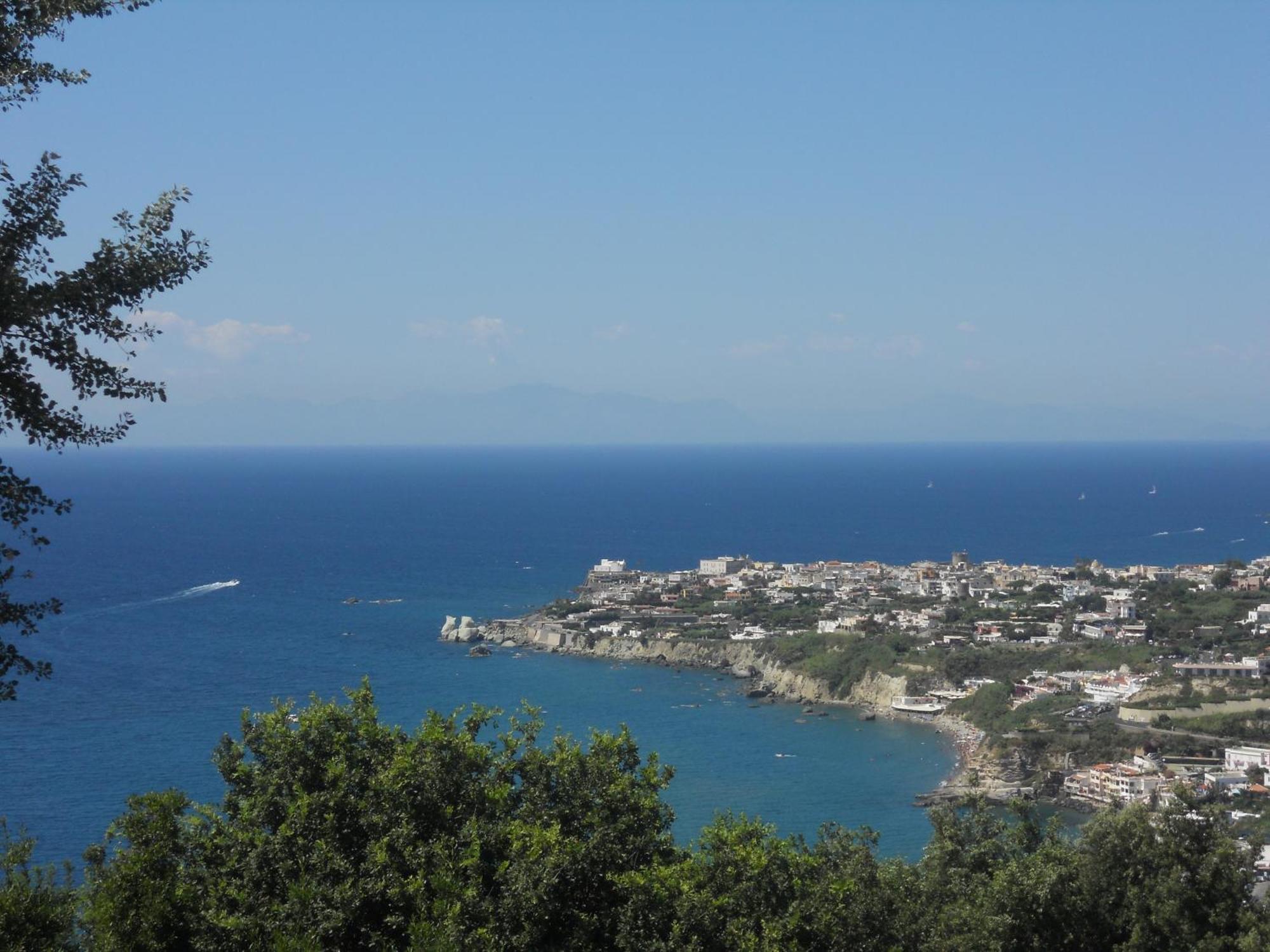 甜叶菊酒店 Forio di Ischia