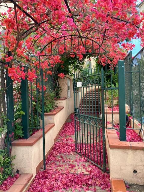 Сasa de vacaciones Casa La Magnolia Isquia