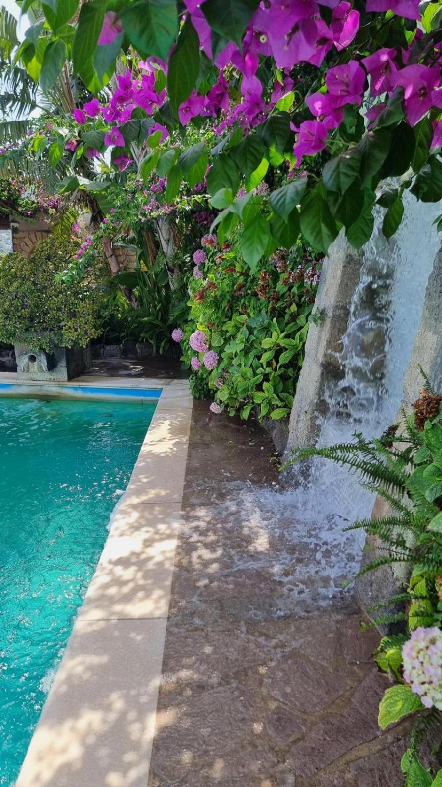 Hotel Casa Michelangela - Holistic Bio *
