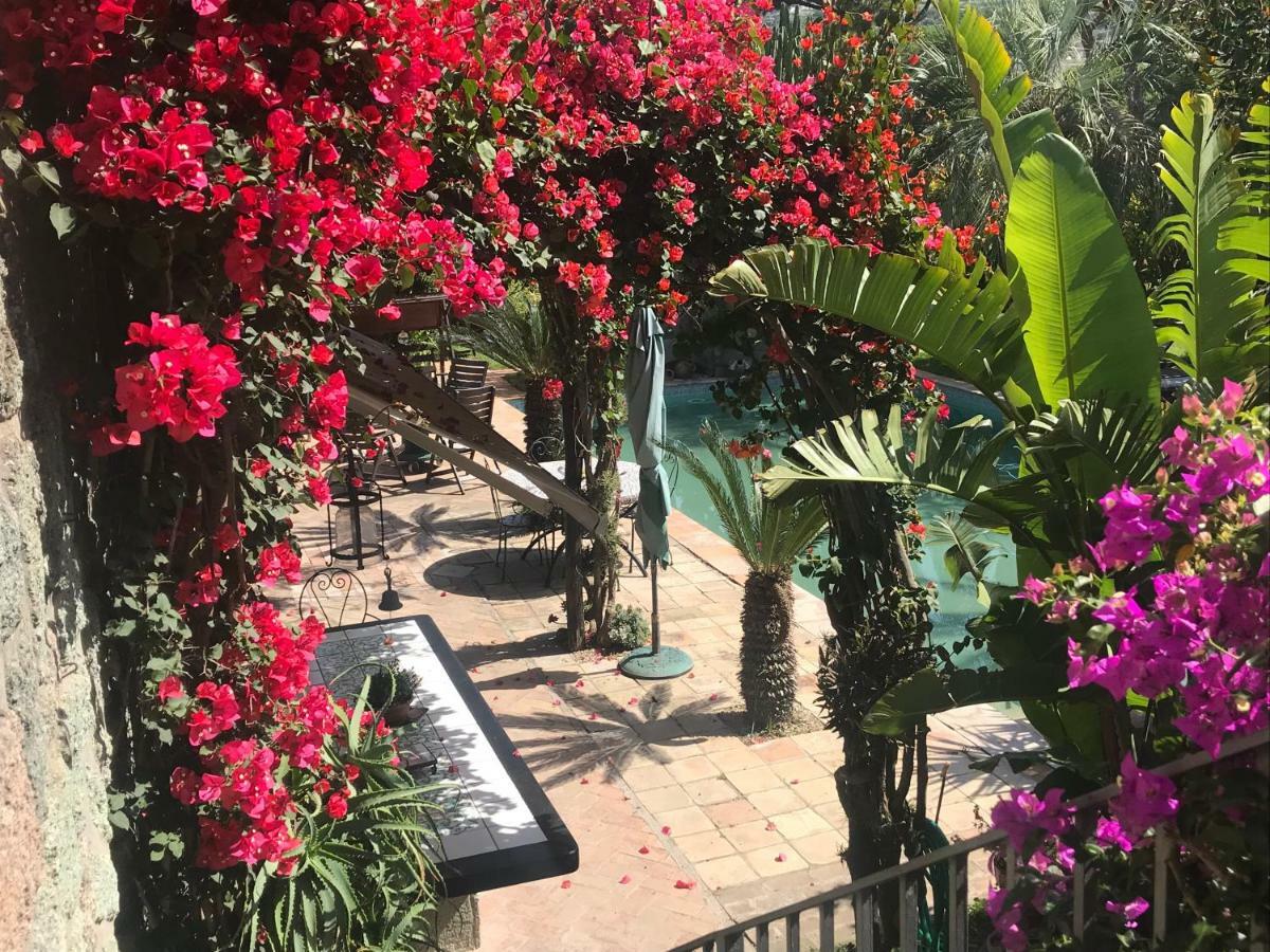 Casa Vacanze Il Pozzo 度假居 *