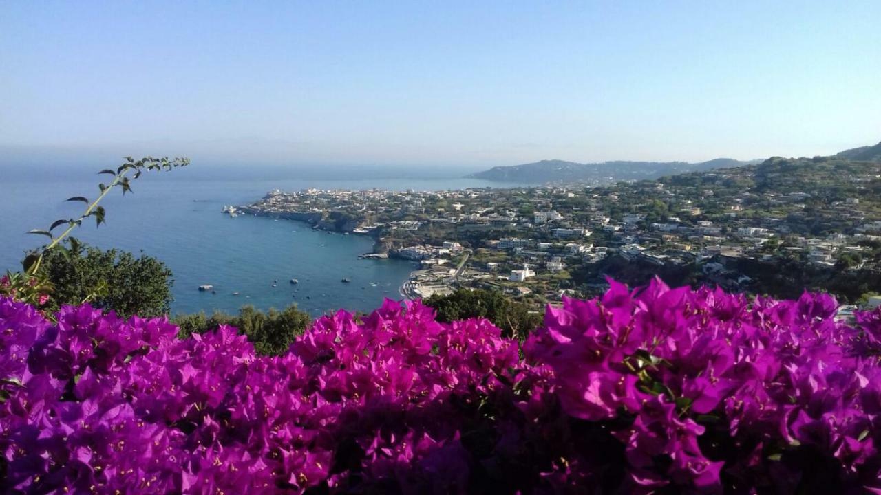 Andrea Forio di Ischia