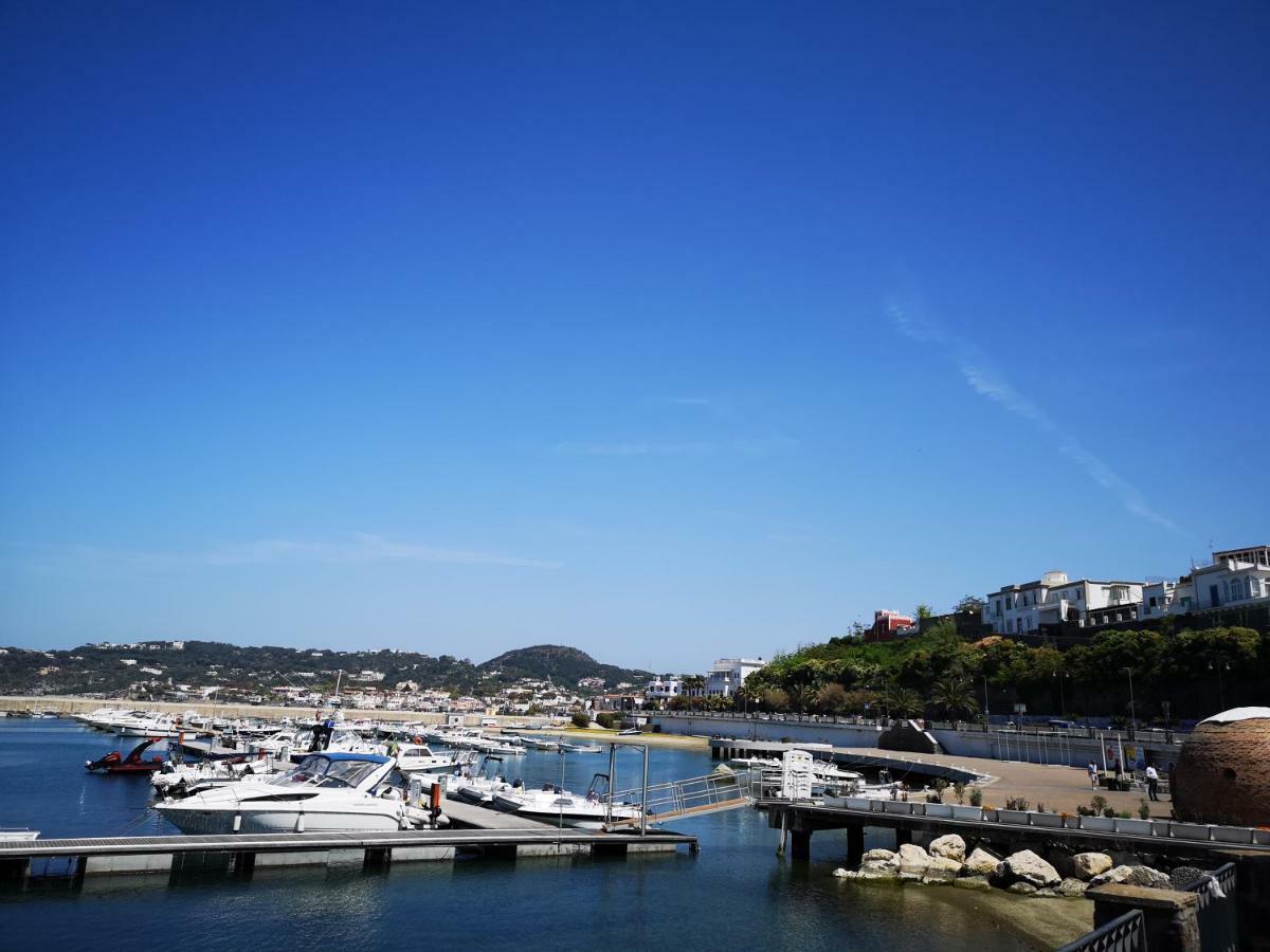 La Salamandra Kitchengarden Bed & Breakfast Forio di Ischia