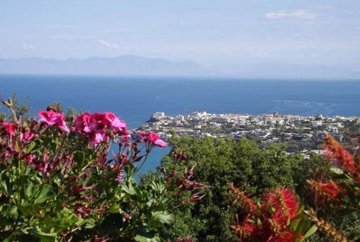 Casa vacanze Casa Geranio