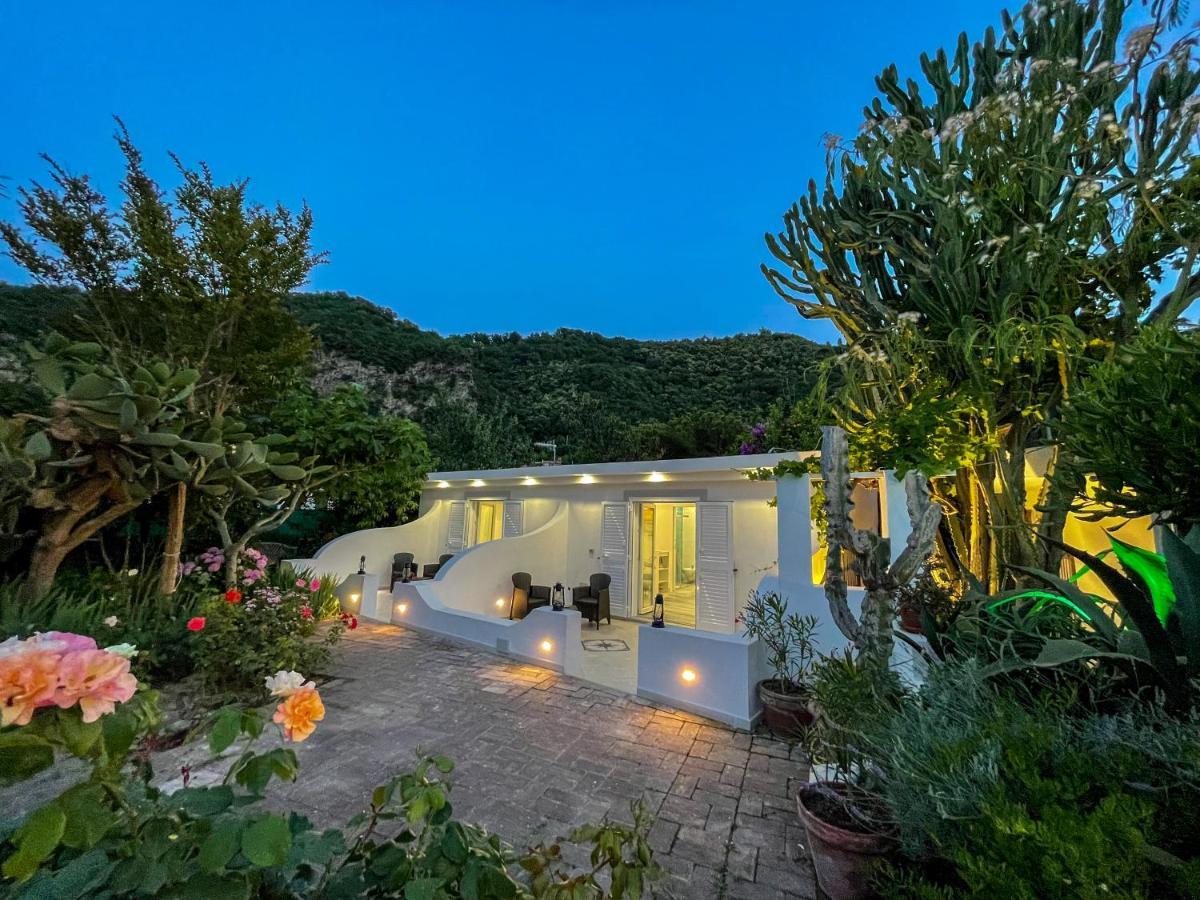 Barracudasuite Bed and breakfast Isquia