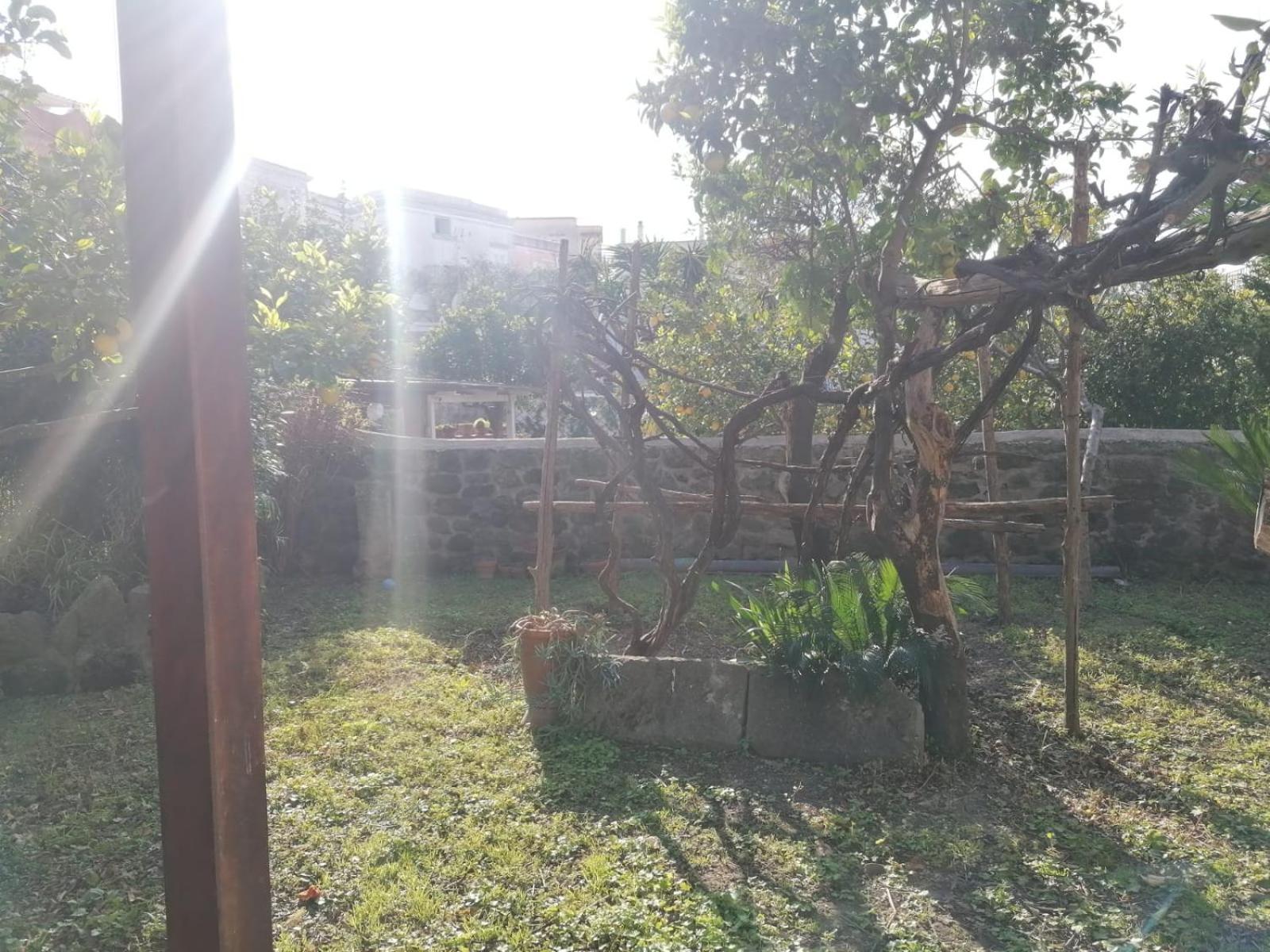 Oda ve Kahvaltı Dimora Coloniale Forio di Ischia