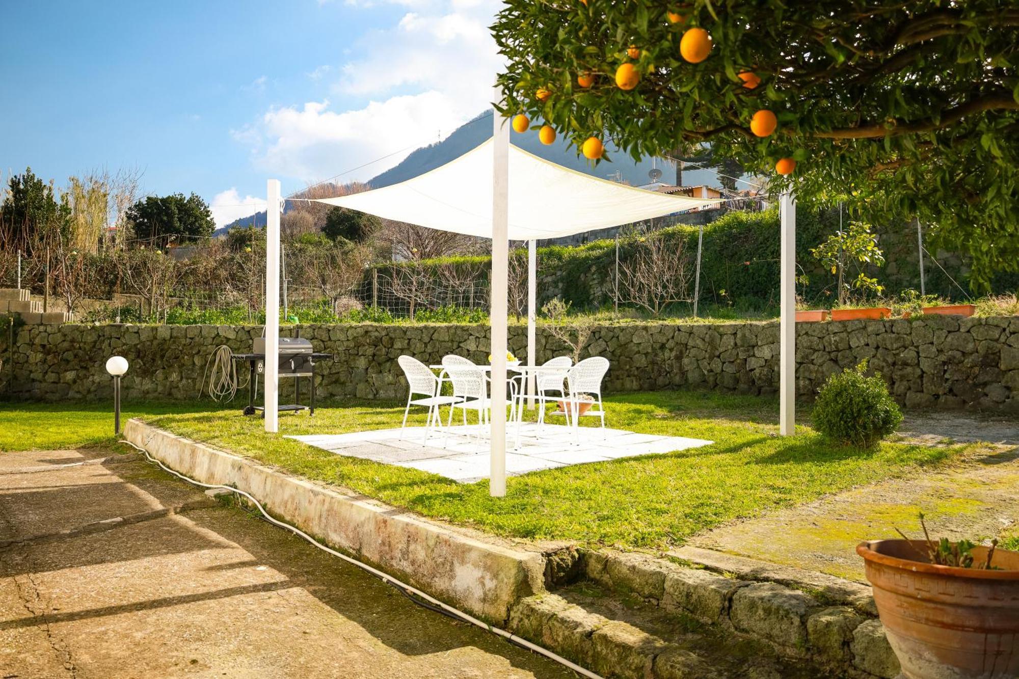 Elysium House - In With Garden Ischia