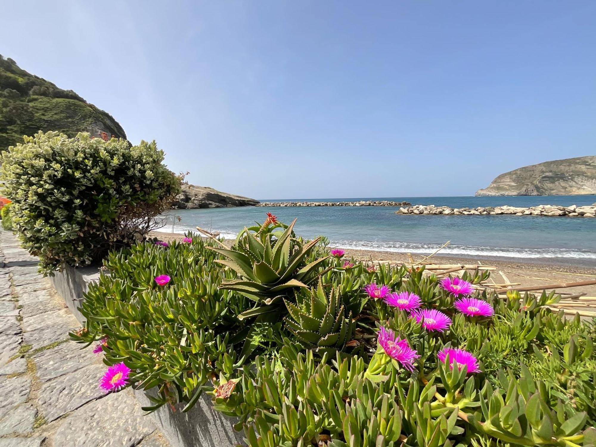 Casa Francesco Seaside Daire Sant'Angelo (Isola d'Ischia)
